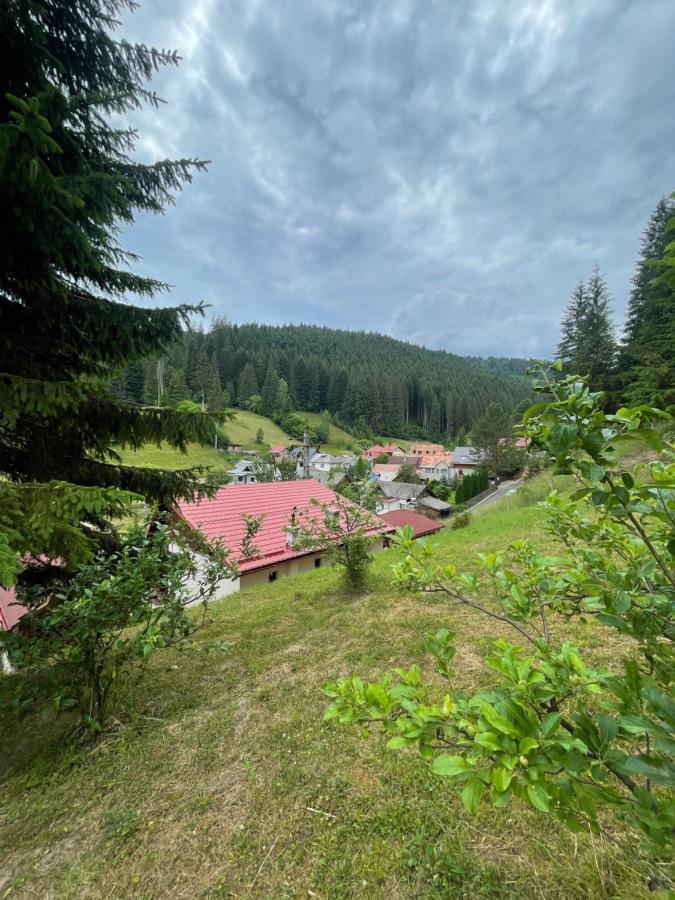 Casa De Vacanta Chesa Borsec Luaran gambar